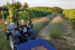 Solis 26 Kleintraktor mit Allrad & Servolenkung – 26 PS Mitsubishi Dieseltraktor – Bild 3